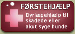 F&oslash;rstehj&aelig;lp